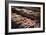 Street food in Chinatown at night, Kuala Lumpur, Malaysia, Southeast Asia, Asia-Matthew Williams-Ellis-Framed Photographic Print