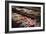 Street food in Chinatown at night, Kuala Lumpur, Malaysia, Southeast Asia, Asia-Matthew Williams-Ellis-Framed Photographic Print