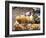 Street Food Stall, Yangon (Rangoon), Myanmar (Burma)-Ken Gillham-Framed Photographic Print