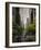 Street Greens-Jace Grey-Framed Photo