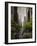 Street Greens-Jace Grey-Framed Photo