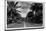 Street in Honolulu, Hawaii-Library of Congress-Mounted Photographic Print