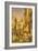 Street in Lahore, Punjab, India-William Carpenter-Framed Giclee Print