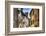 Street in Montalcino with the Castle Tower-George Oze-Framed Photographic Print