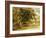 Street in Nassau, C.1878-Albert Bierstadt-Framed Giclee Print