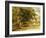 Street in Nassau, C.1878-Albert Bierstadt-Framed Giclee Print