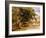 Street in Nassau. Ca. 1878-Albert Bierstadt-Framed Giclee Print