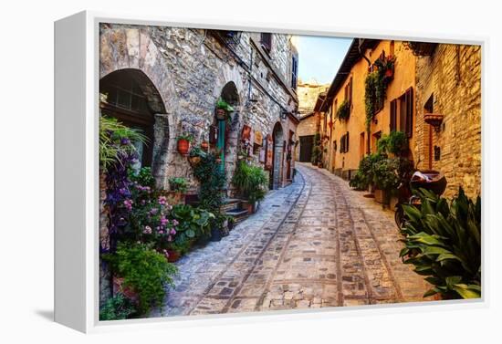 Street in Spello, Italy-Terry Eggers-Framed Premier Image Canvas
