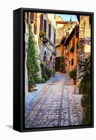 Street in Spello, Italy-Terry Eggers-Framed Premier Image Canvas