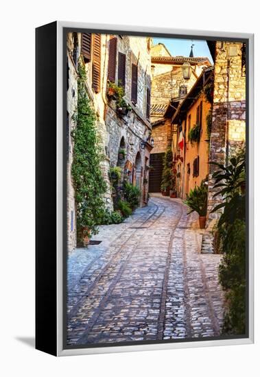 Street in Spello, Italy-Terry Eggers-Framed Premier Image Canvas