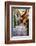 Street in Spello, Italy-Terry Eggers-Framed Photographic Print