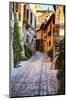 Street in Spello, Italy-Terry Eggers-Mounted Photographic Print