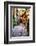 Street in Spello, Italy-Terry Eggers-Framed Photographic Print