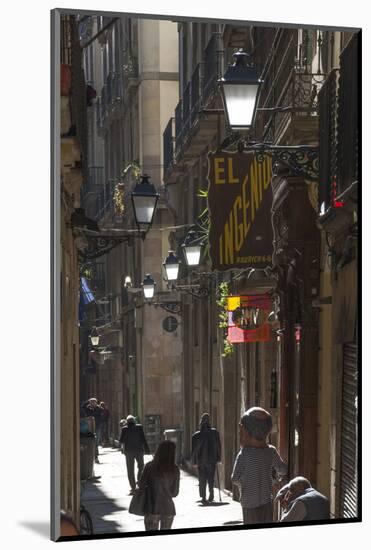 Street in the Old City, Barcelona, Catalunya, Spain, Europe-James Emmerson-Mounted Photographic Print