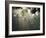 Street Lamps, Buenos Aires, Argentina, South America-Christian Kober-Framed Photographic Print