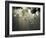 Street Lamps, Buenos Aires, Argentina, South America-Christian Kober-Framed Photographic Print