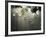 Street Lamps, Buenos Aires, Argentina, South America-Christian Kober-Framed Photographic Print