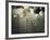 Street Lamps, Buenos Aires, Argentina, South America-Christian Kober-Framed Photographic Print