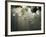 Street Lamps, Buenos Aires, Argentina, South America-Christian Kober-Framed Photographic Print