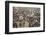 Street Market, Amritsar. Punjab, India, Asia-Tony Waltham-Framed Photographic Print