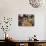 Street Market, Cuzco, Peru, South America-Charles Bowman-Photographic Print displayed on a wall