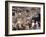 Street Market in a Village Near the Airport, Gondar, Ethiopia, Africa-Jane Sweeney-Framed Photographic Print