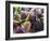 Street Market Stall with Sea Urchins Oursin, Sanary, Var, Cote d'Azur, France-Per Karlsson-Framed Photographic Print