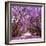 Street of Beautiful Violet Vibrant Jacaranda in Bloom. Tenderness. Romantic Style. Spring in South-Dendenal-Framed Photographic Print