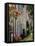 Street of Houses, St. Jean De Cole, Dordogne, France, Europe-Peter Richardson-Framed Premier Image Canvas