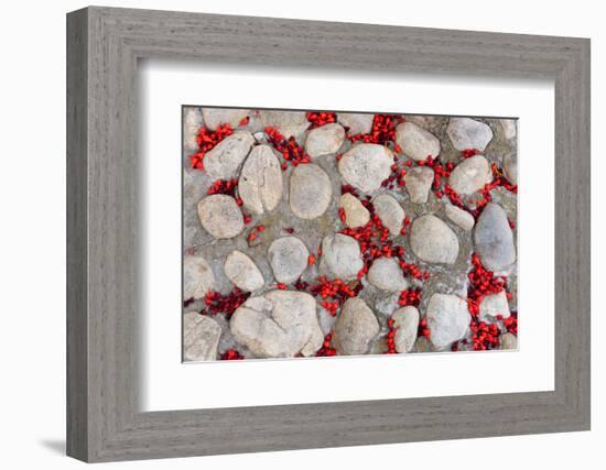 Street, Paving, Red Blossoms, Symbol Transitoriness-Catharina Lux-Framed Photographic Print