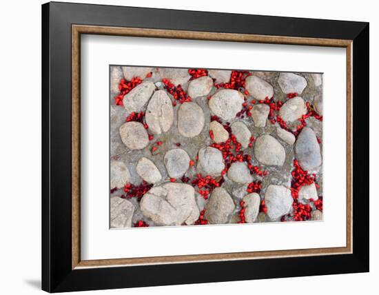 Street, Paving, Red Blossoms, Symbol Transitoriness-Catharina Lux-Framed Photographic Print