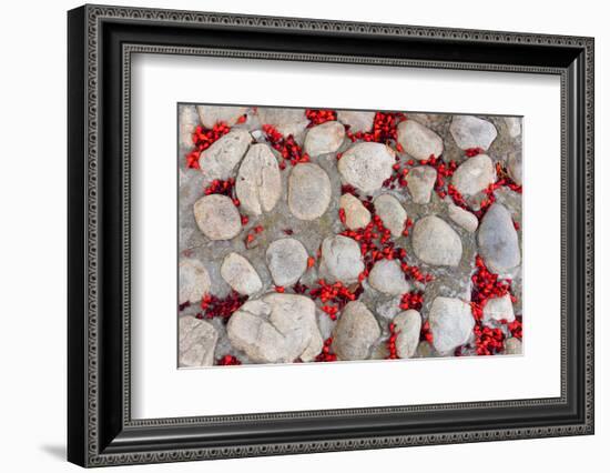 Street, Paving, Red Blossoms, Symbol Transitoriness-Catharina Lux-Framed Photographic Print