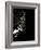 Street Performer-David Ridley-Framed Photographic Print