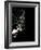 Street Performer-David Ridley-Framed Photographic Print