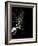 Street Performer-David Ridley-Framed Photographic Print