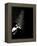 Street Performer-David Ridley-Framed Premier Image Canvas