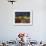 Street Performers, Cafes and Stalls at Dusk, Old Town Square (Rynek Stare Miasto), Warsaw, Poland-Gavin Hellier-Framed Photographic Print displayed on a wall