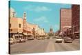 Stretched Canvas Print