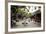 Street Scene, Hoi An, Vietnam, Indochina, Southeast Asia, Asia-Yadid Levy-Framed Photographic Print