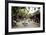 Street Scene, Hoi An, Vietnam, Indochina, Southeast Asia, Asia-Yadid Levy-Framed Photographic Print