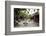 Street Scene, Hoi An, Vietnam, Indochina, Southeast Asia, Asia-Yadid Levy-Framed Photographic Print