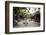 Street Scene, Hoi An, Vietnam, Indochina, Southeast Asia, Asia-Yadid Levy-Framed Photographic Print