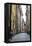 Street Scene in Gamla Stan, Stockholm, Sweden, Scandinavia, Europe-Yadid Levy-Framed Premier Image Canvas