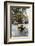 Street Scene in the Old Quarter, Hanoi, Vietnam, Indochina, Southeast Asia, Asia-Yadid Levy-Framed Photographic Print