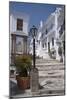 Street Scene in the 'White' Town of Frigiliana, Andalucia, Spain-Natalie Tepper-Mounted Photo