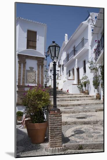 Street Scene in the 'White' Town of Frigiliana, Andalucia, Spain-Natalie Tepper-Mounted Photo