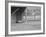 Street Scene, Natchez, Mississippi, c.1935-Ben Shahn-Framed Photo