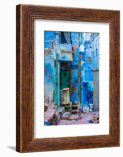 Street Scene of the Blue Houses, Jodhpur, the Blue City, Rajasthan, India, Asia-Laura Grier-Framed Photographic Print