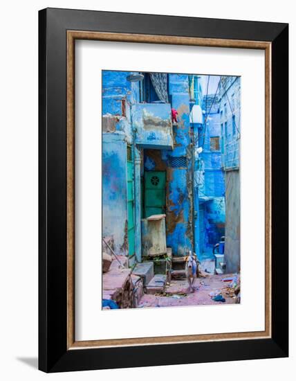 Street Scene of the Blue Houses, Jodhpur, the Blue City, Rajasthan, India, Asia-Laura Grier-Framed Photographic Print