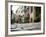 Street Scene, Riquewihr, Alsace, France, Europe-Yadid Levy-Framed Photographic Print